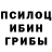 Псилоцибиновые грибы Cubensis toka_mila