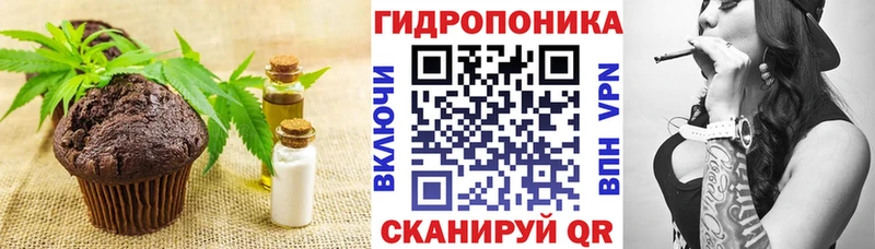 продажа наркотиков  Истра  Еда ТГК марихуана 
