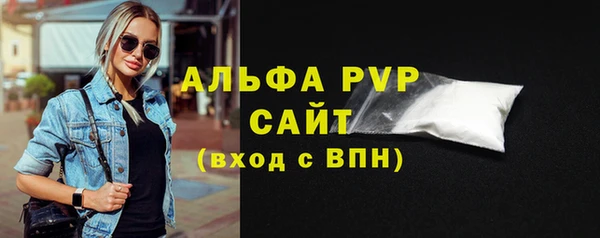 гидра Нестеровская
