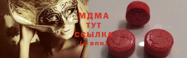 гидра Нестеровская