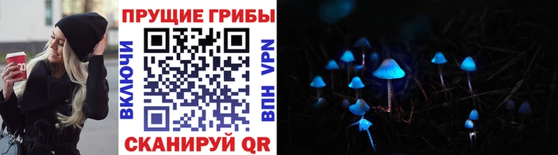 Псилоцибиновые грибы прущие грибы  KRAKEN маркетплейс  Истра 