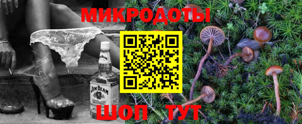 Истра  Галлюциногенные грибы GOLDEN TEACHER  Галлюциногенные грибы прущие грибы  Вход с VPN 